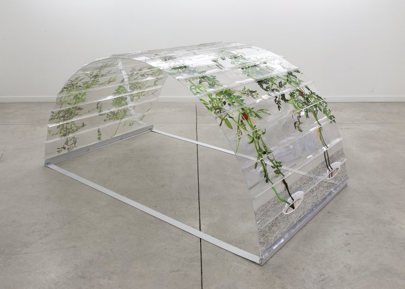 20150226 Alex Fischer 1 7 and 6000 O'Born Contemporary 34 VII (6000) documentation